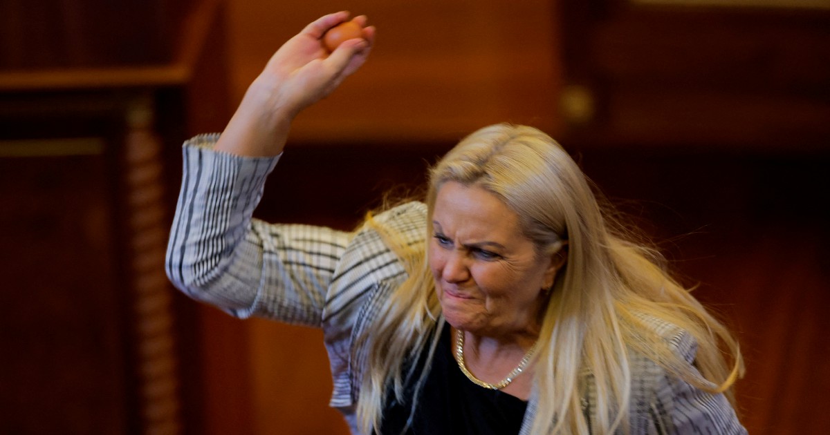 Kosovo Teeters on Political Brink as Parliament Suspended Over Egg Attack on PM