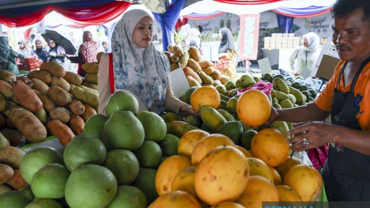 Agricultural TVET Programme Achieves 81% Graduate Employability, Exceeding Previous Year's Performance
