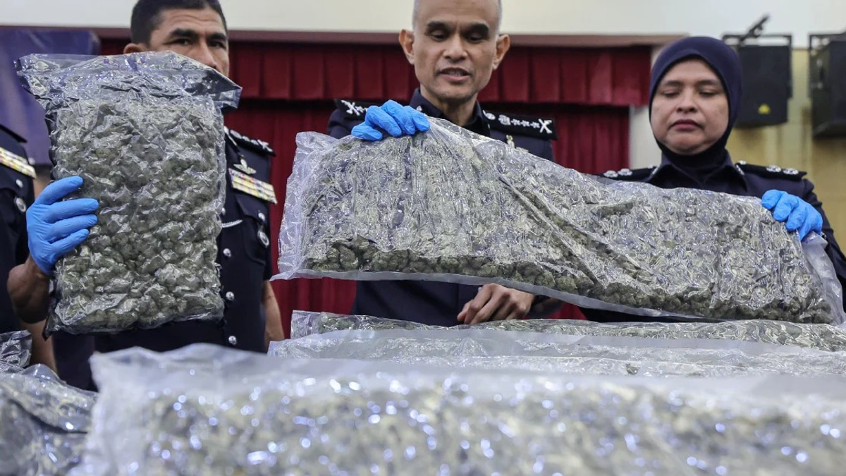 Police bust major cannabis ring at KLIA: 650kg seized, 38 arrested