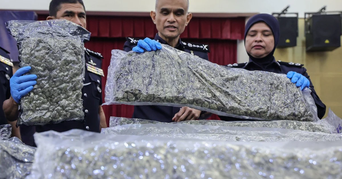 Police bust major cannabis ring at KLIA: 650kg seized, 38 arrested