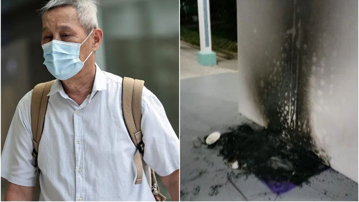 Singapore Man Jailed Three Months for Burning Community Cat Houses at Void Deck