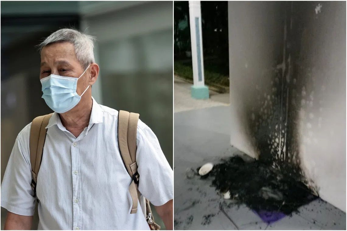 Singapore Man Jailed Three Months for Burning Community Cat Houses at Void Deck
