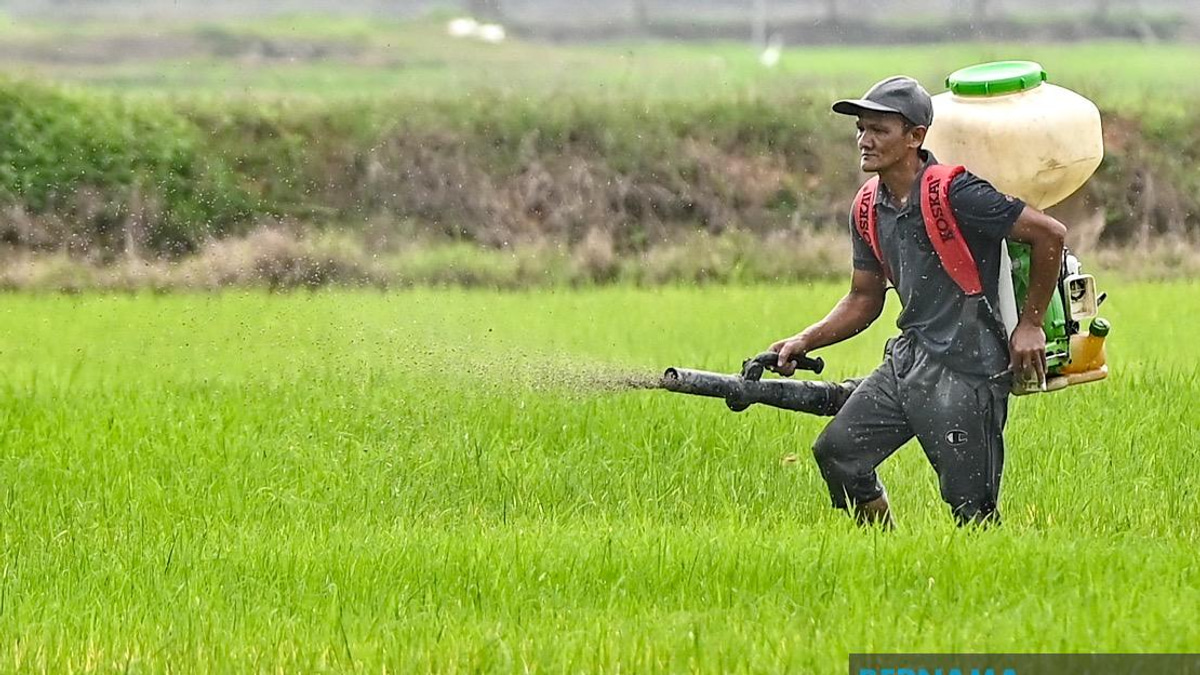 Kelantan Invests RM3.64 Million in Agriculture to Strengthen Food Production