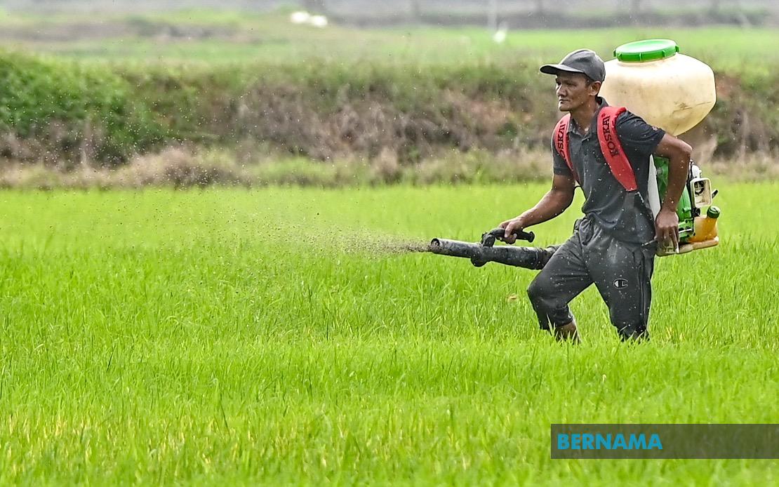 Kelantan Invests RM3.64 Million in Agriculture to Strengthen Food Production