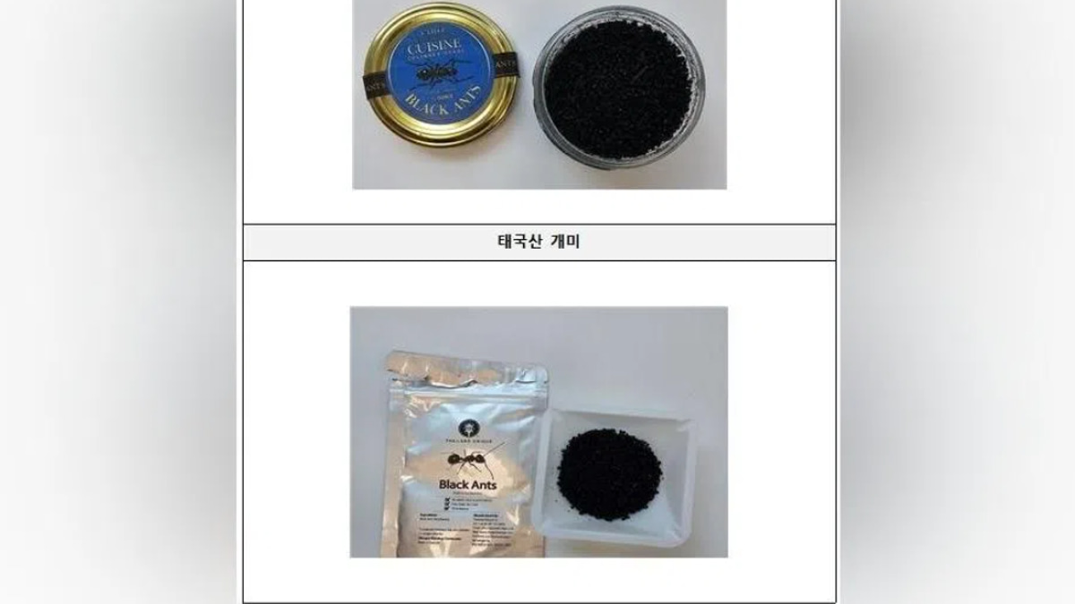 Michelin-starred Seoul chef faces jail time over illicit ant garnish on desserts