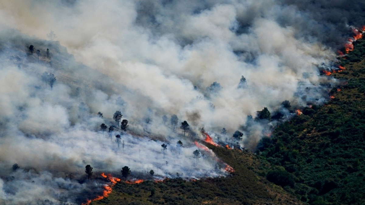 Spain Evacuates Nearly 60,000 As Wildfires Ravage Madrid Region