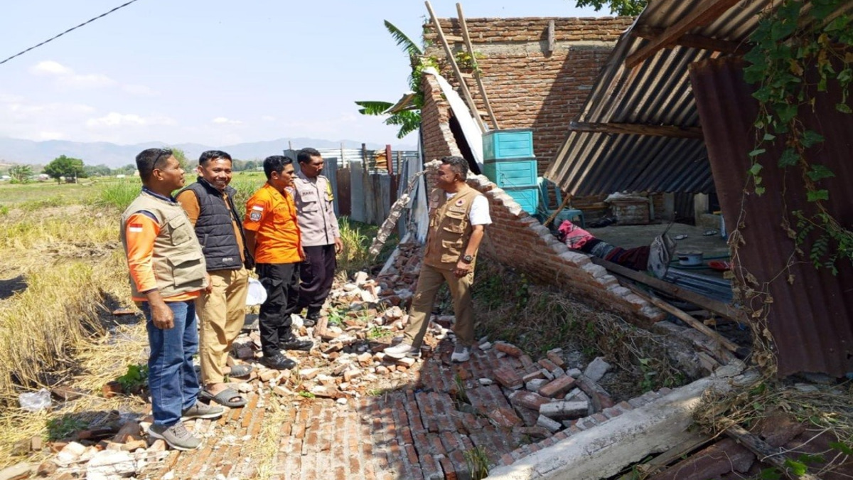 Death Toll Reaches 38 as Rescue Efforts Intensify Following Flores Earthquake