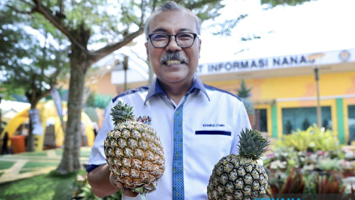Sarawak's New Gold Pineapple Variety Makes Bold Debut at MAHA 2026