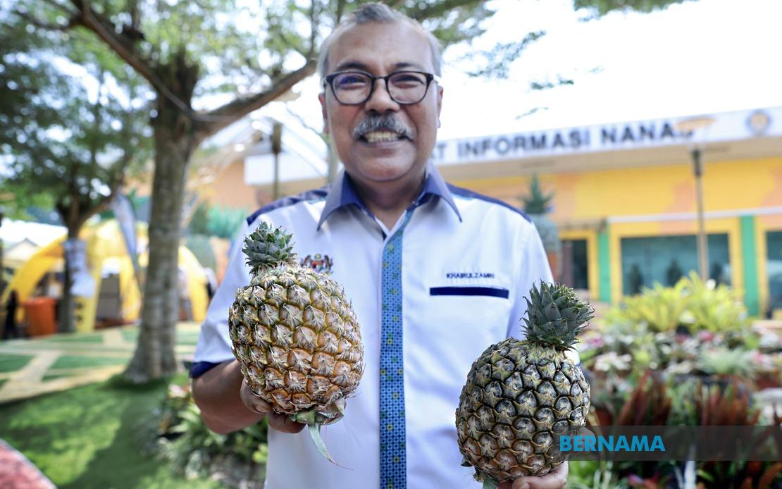 Sarawak's New Gold Pineapple Variety Makes Bold Debut at MAHA 2026