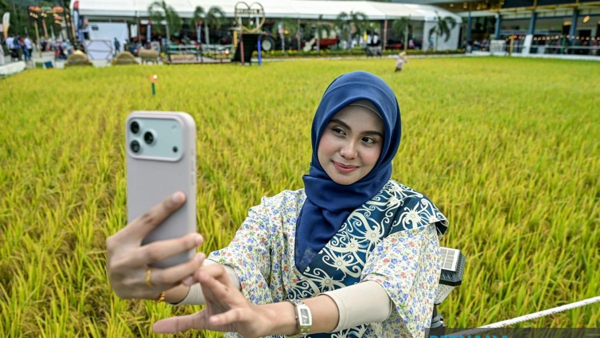 Historic Paddy Art Installation at MAHA 2026 Breaks Malaysia Book of Records