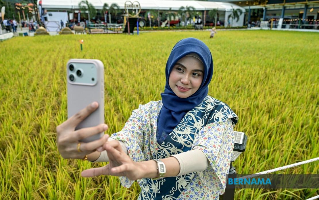 Historic Paddy Art Installation at MAHA 2026 Breaks Malaysia Book of Records