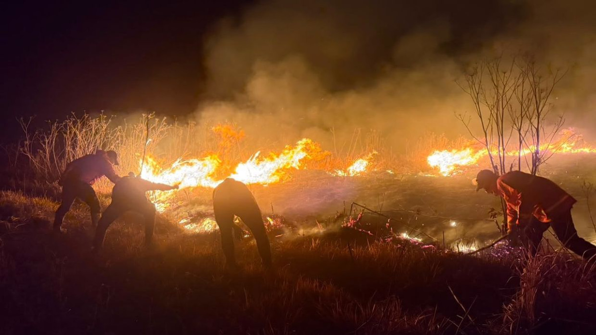 Mount Bromo wildfire expands to 520 hectares as winds intensify blaze across East Java slopes