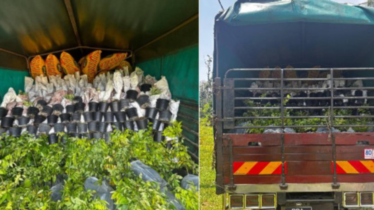 Lorry driver detained in RM200,000 ornamental plant smuggling bust at Rantau Panjang