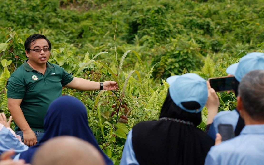 Malaysian Palm Oil Foundation Breathes New Life Into Sabah's Scarred Forests