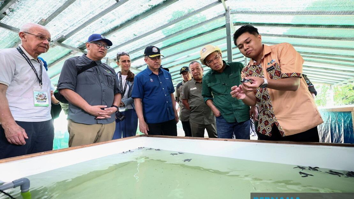 Malaysia Intensifies Crackdown on Foreign Tourists Abusing Social Visit Passes for Business in Semporna