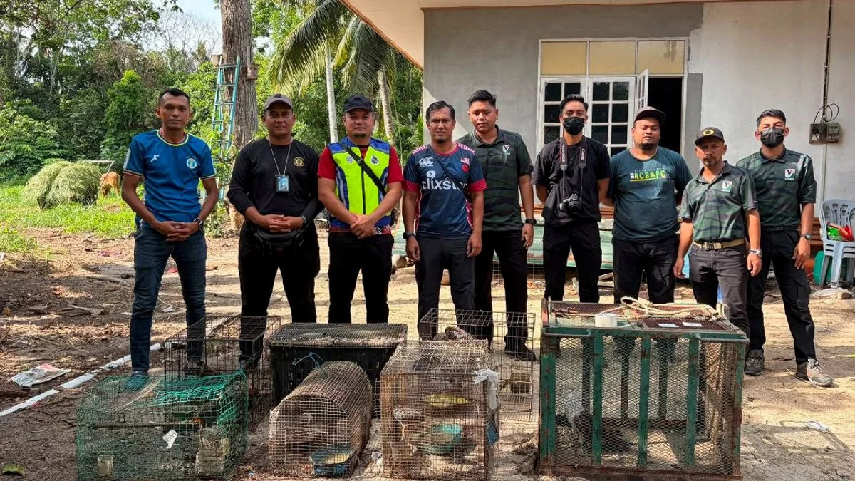 Teen Arrested with Nearly RM50,000 Worth of Protected Wildlife in Kelantan Bust