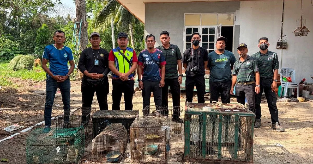 Teen Arrested with Nearly RM50,000 Worth of Protected Wildlife in Kelantan Bust