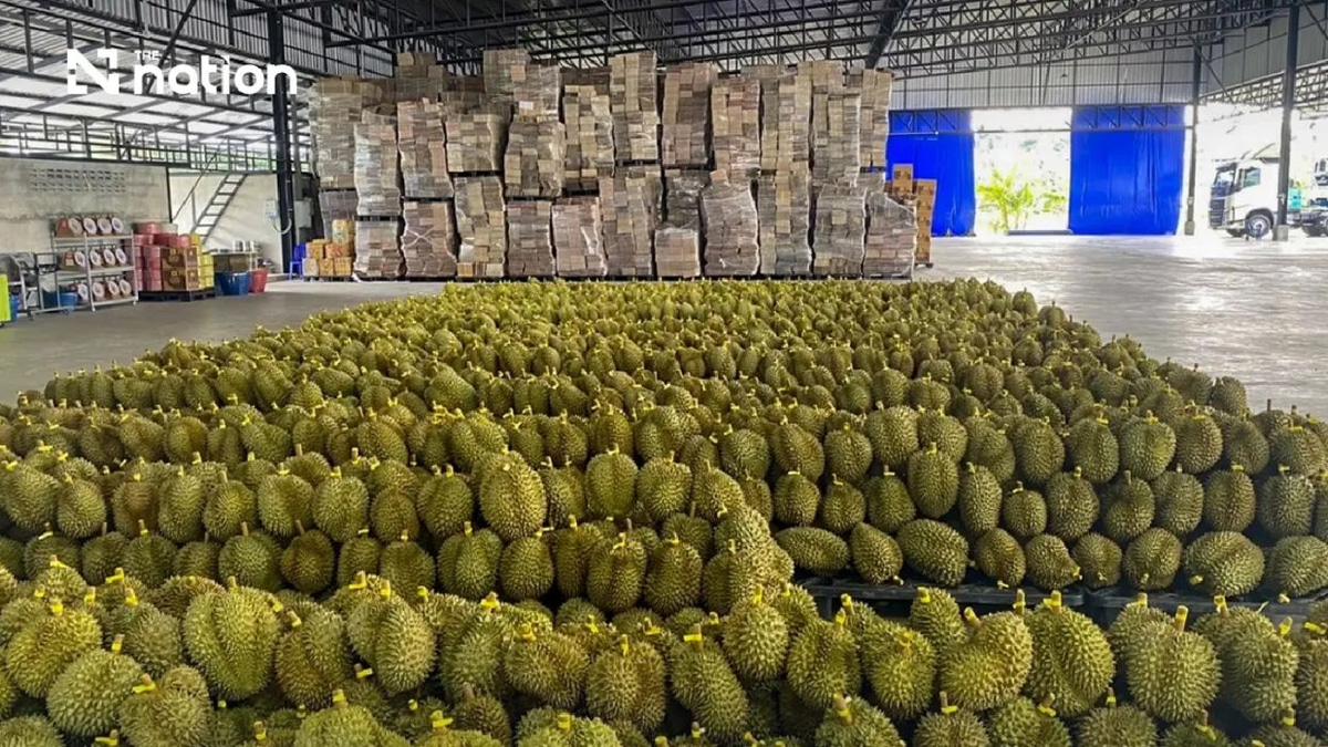 Thailand's durian exports to China smash first-half record with THB100 billion threshold