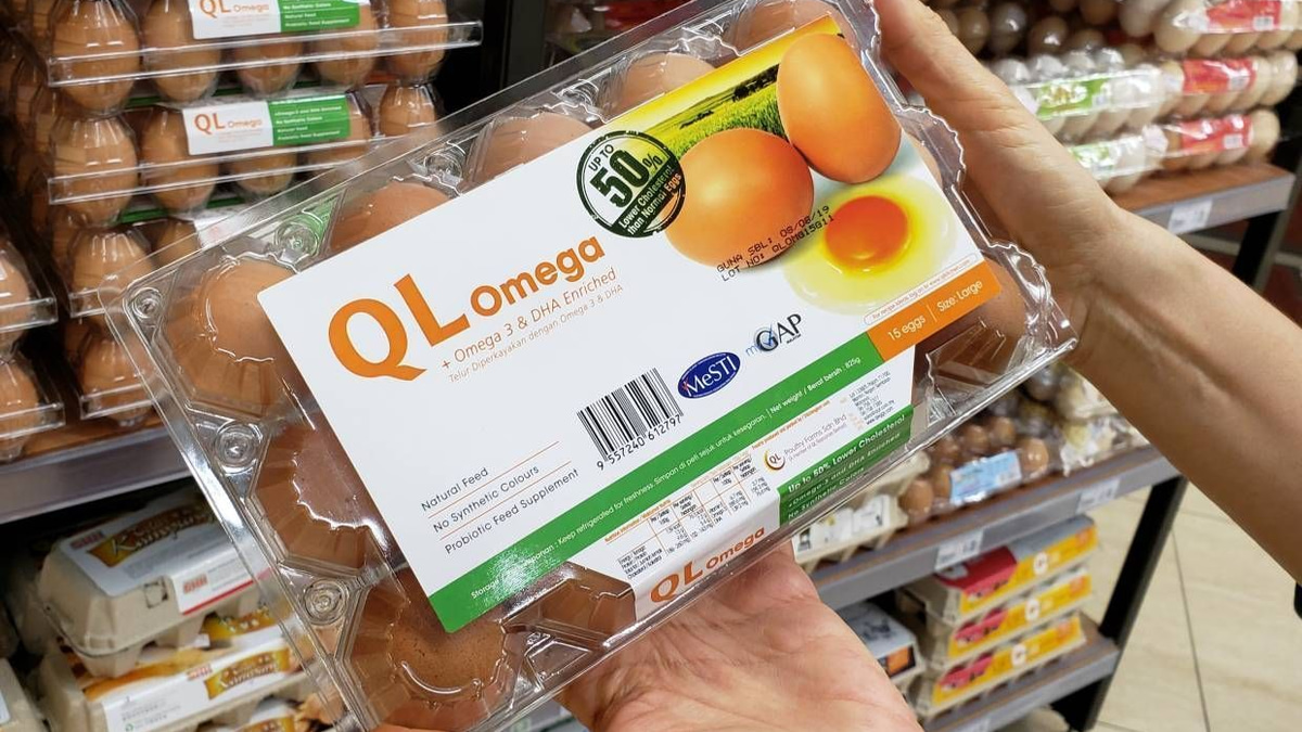 QL Resources Maintains Sound Fundamentals Despite Valuation Downgrade