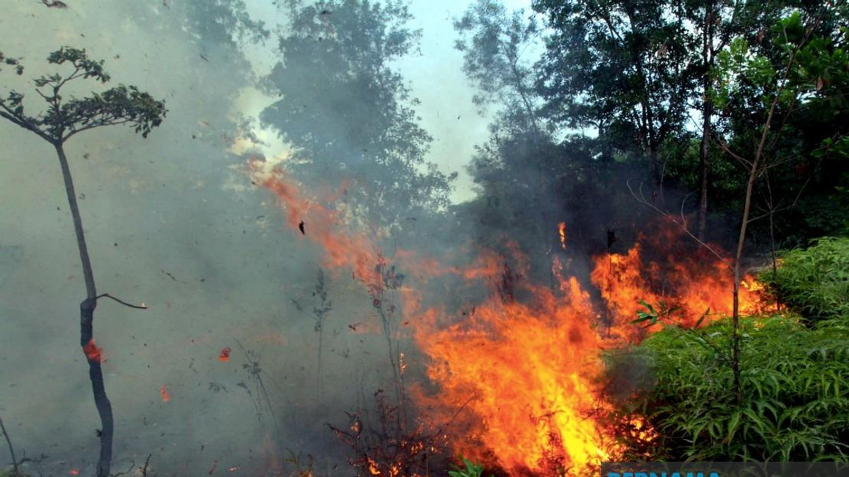 Sabah Declares Open Burning Ban as Indonesian Haze Spreads Across Border