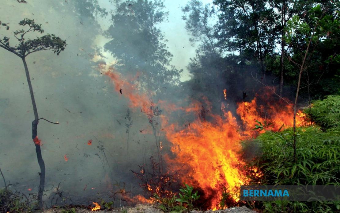 Sabah Declares Open Burning Ban as Indonesian Haze Spreads Across Border