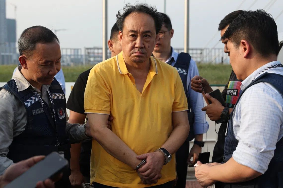 Lawyer Lim Tean deported to Singapore after arrest in Johor over jail term evasion