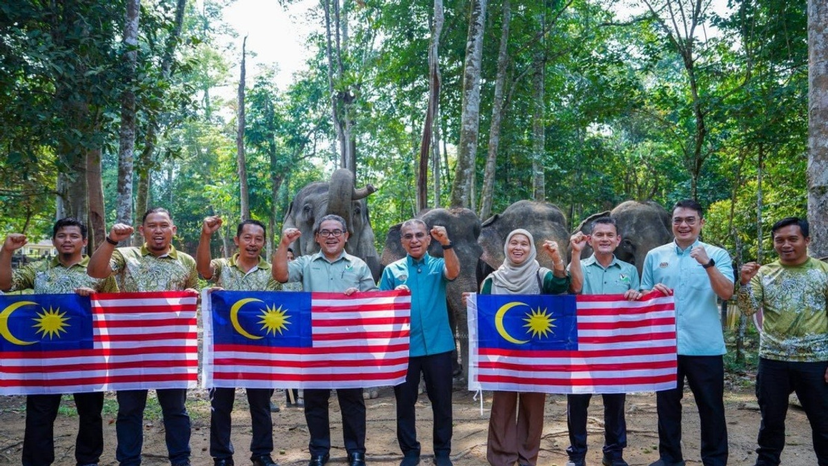 Malaysia's Wildlife Ministry Develops New Strategies to Curb Human-Elephant Conflicts