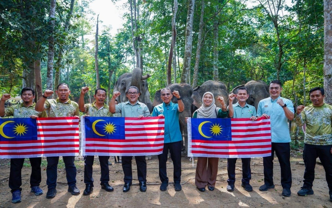 Malaysia's Wildlife Ministry Develops New Strategies to Curb Human-Elephant Conflicts