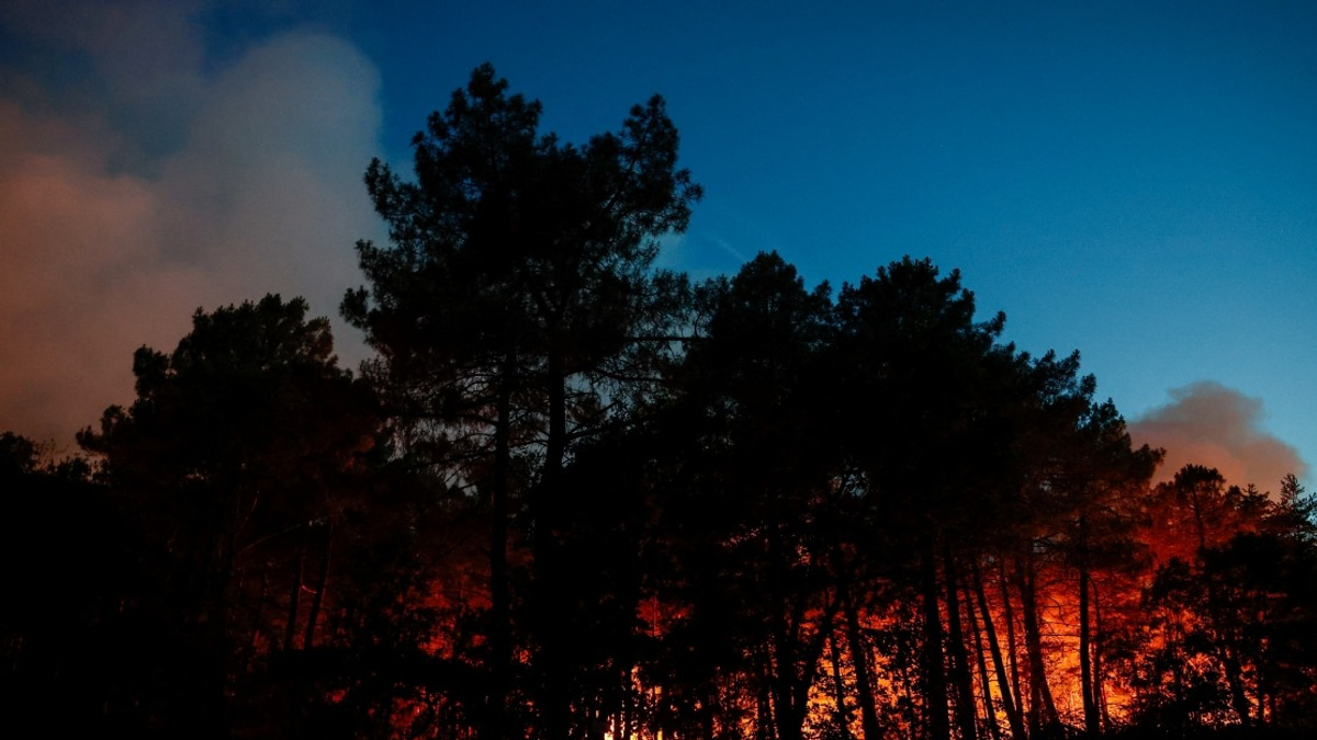 Major Wildfire Devastates Fontainebleau Forest as Arson Suspected