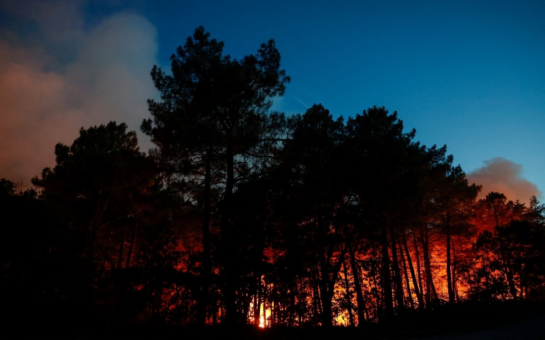 Major Wildfire Devastates Fontainebleau Forest as Arson Suspected