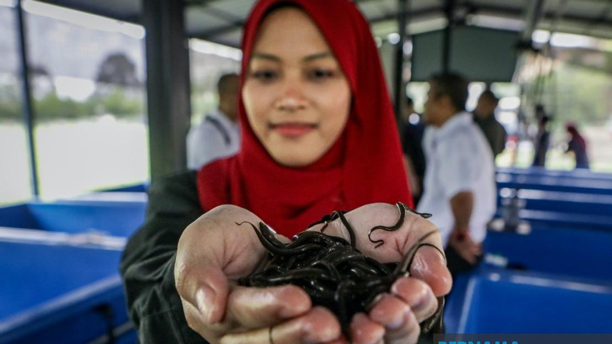 PTSS Bridges Education and Enterprise Through Commercial Eel Farming Initiative