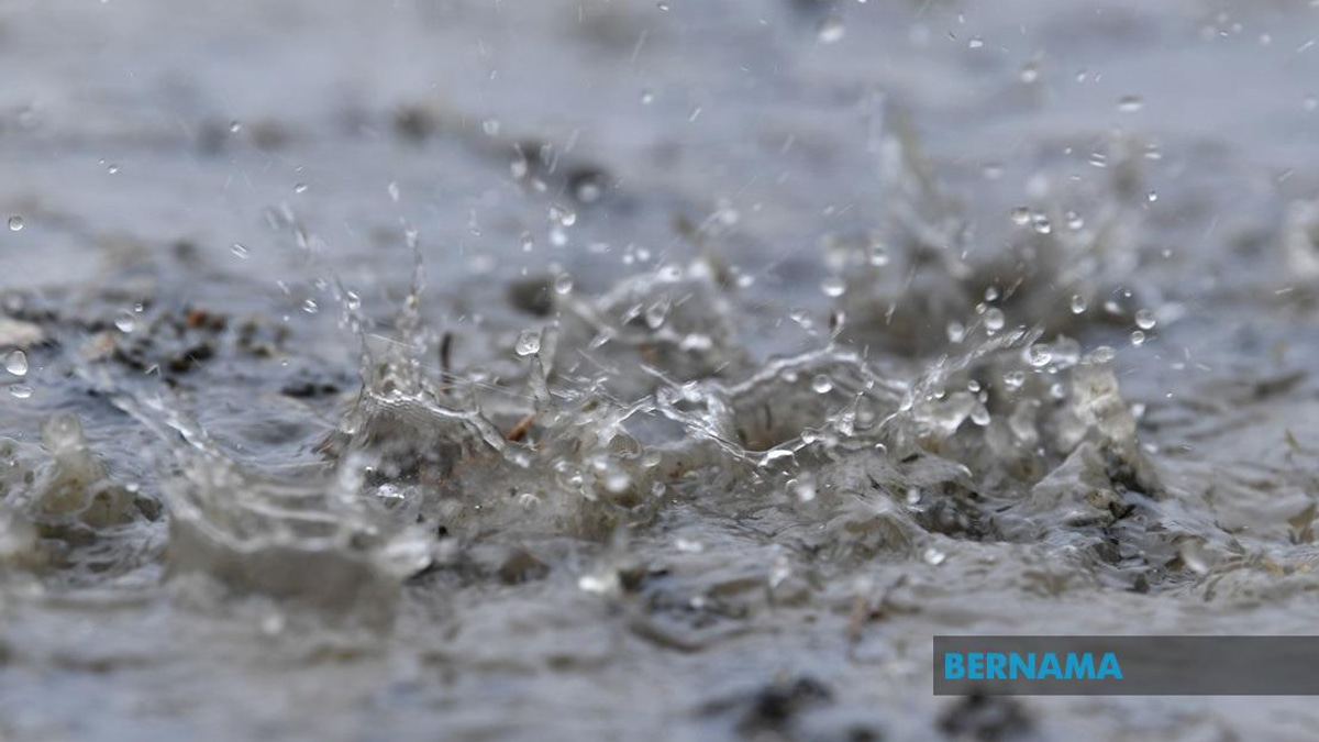 Torrential Downpours Devastate Seoul Region, Forcing Mass Closures and Evacuations