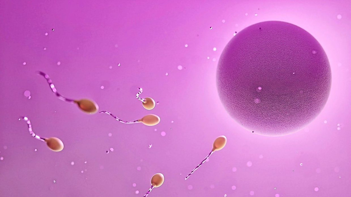Understanding Fertility Treatments: How Ovulation-Stimulating Drugs Work for Women