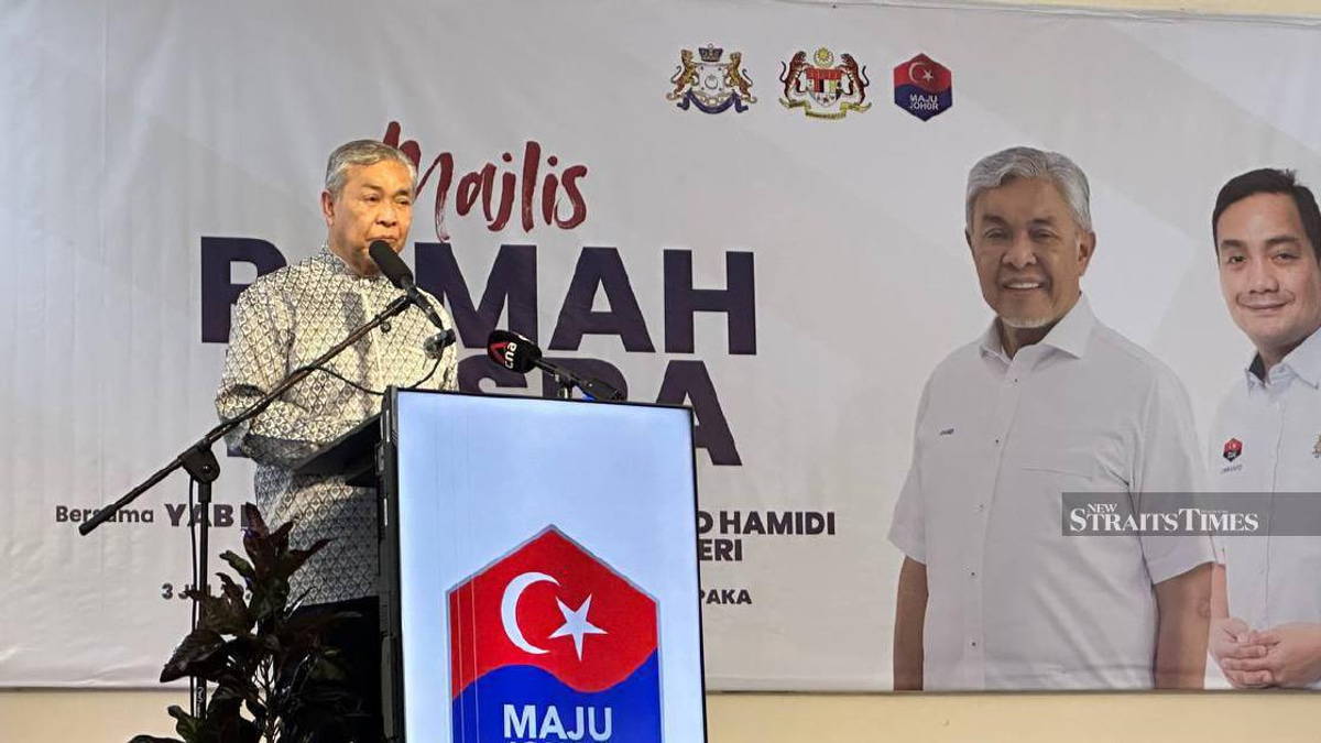 Zahid calls for unity allies to move past old grievances in Johor campaign