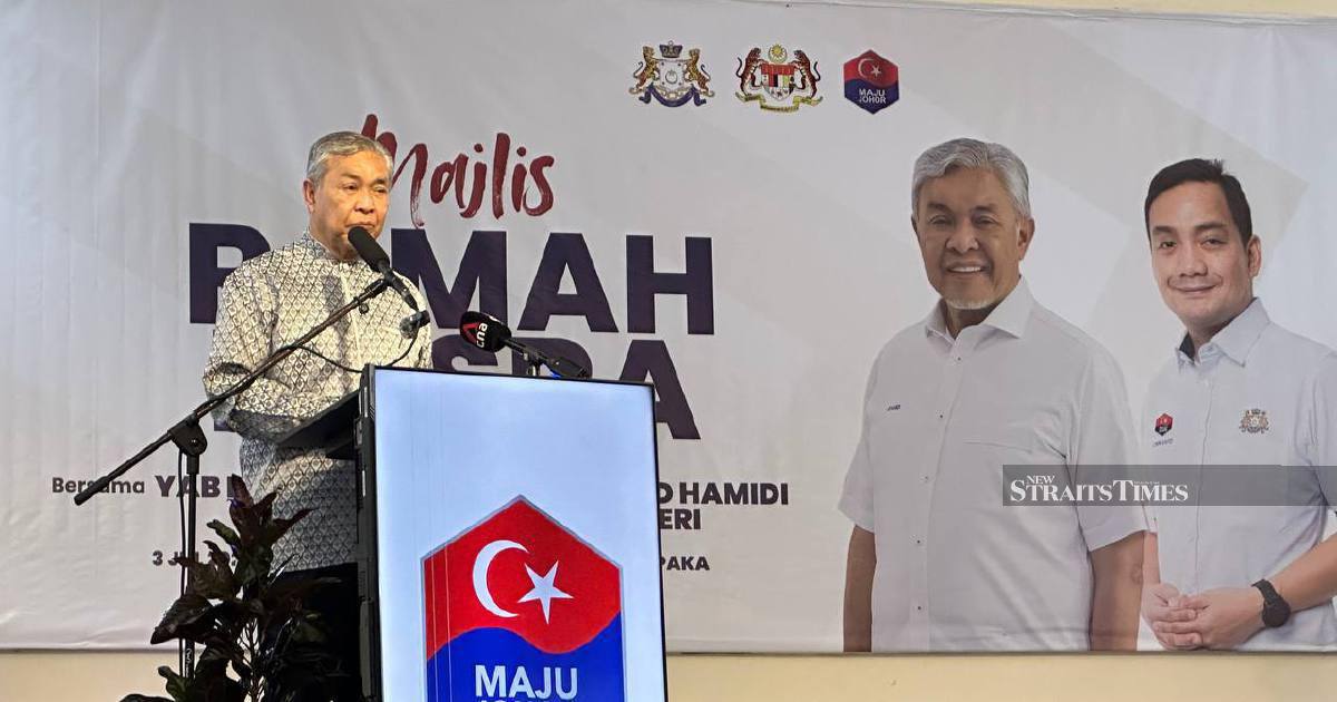 Zahid calls for unity allies to move past old grievances in Johor campaign