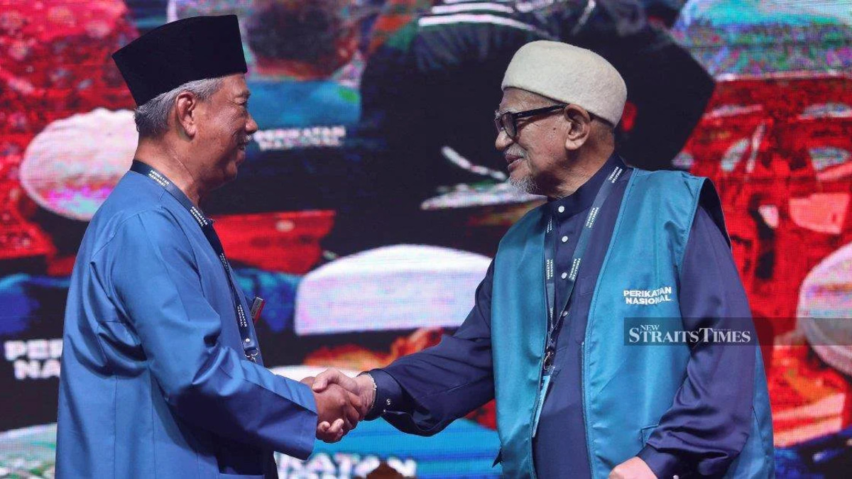 Johor election could define Bersatu's political future as factions vie for dominance