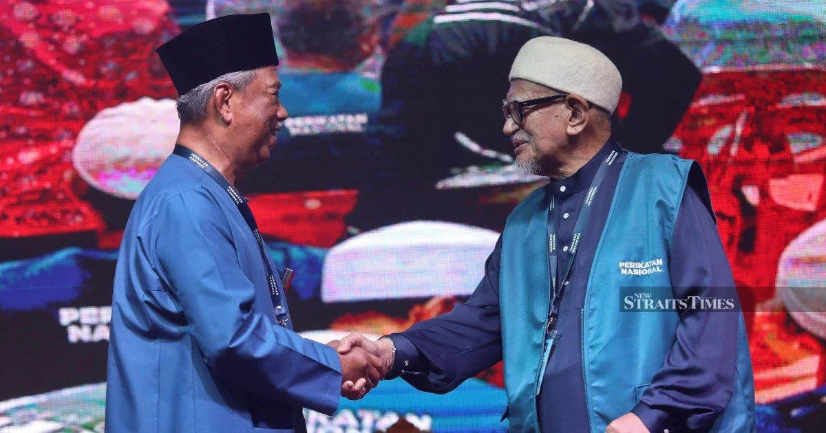 Johor election could define Bersatu's political future as factions vie for dominance
