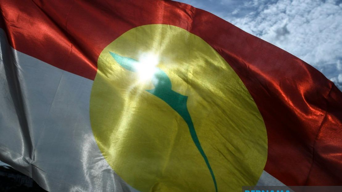 UMNO Members Must Put Party Before Personal Grievance in Johor Election, Says Azalina