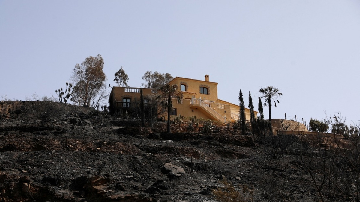 Spanish Wildfire Kills 13 as Blaze Contained in Andalusia