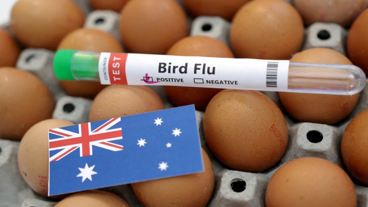 Australia Confirms First H5N1 Bird Flu Case in Local Wildlife, Raising Regional Health Concerns