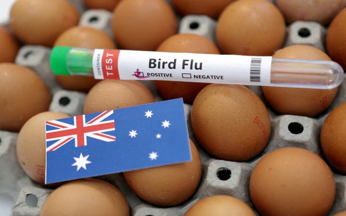 Australia Confirms First H5N1 Bird Flu Case in Local Wildlife, Raising Regional Health Concerns