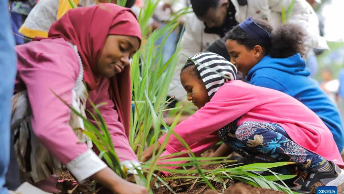 Ethiopia Plants 800 Million Trees in Single Day as Green Legacy Initiative Gains Momentum