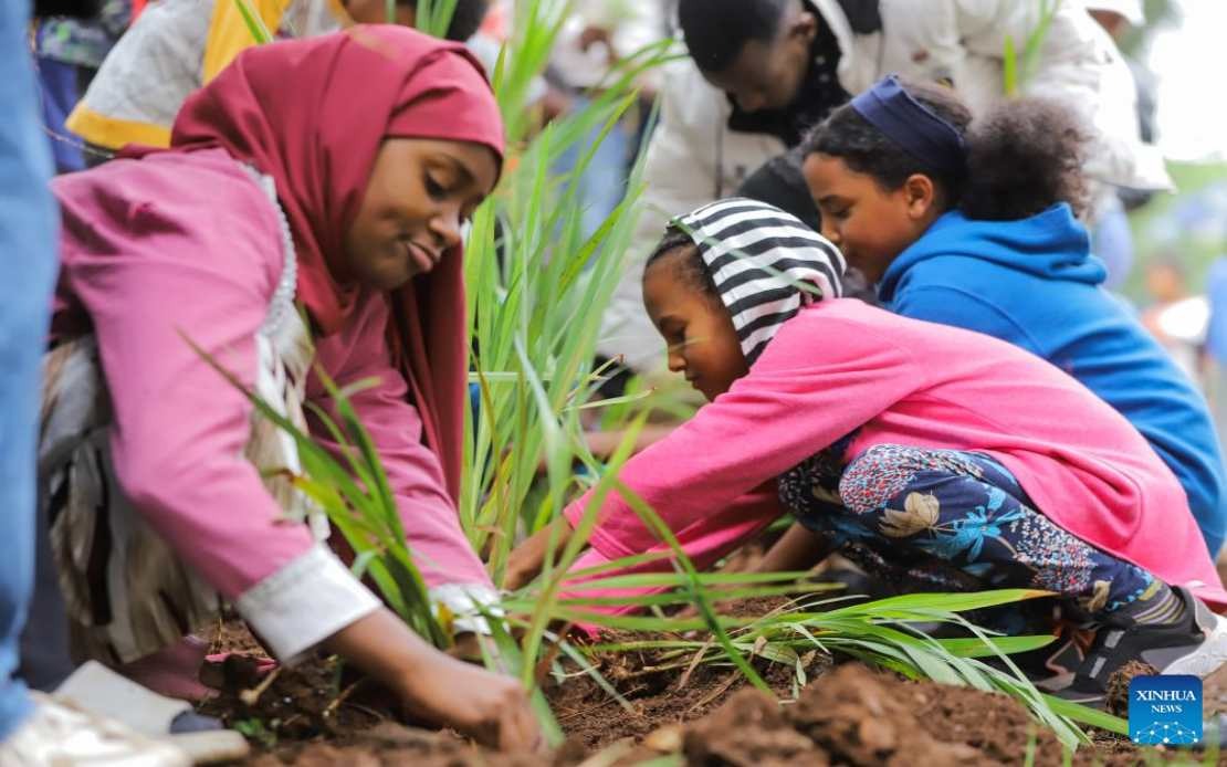 Ethiopia Plants 800 Million Trees in Single Day as Green Legacy Initiative Gains Momentum