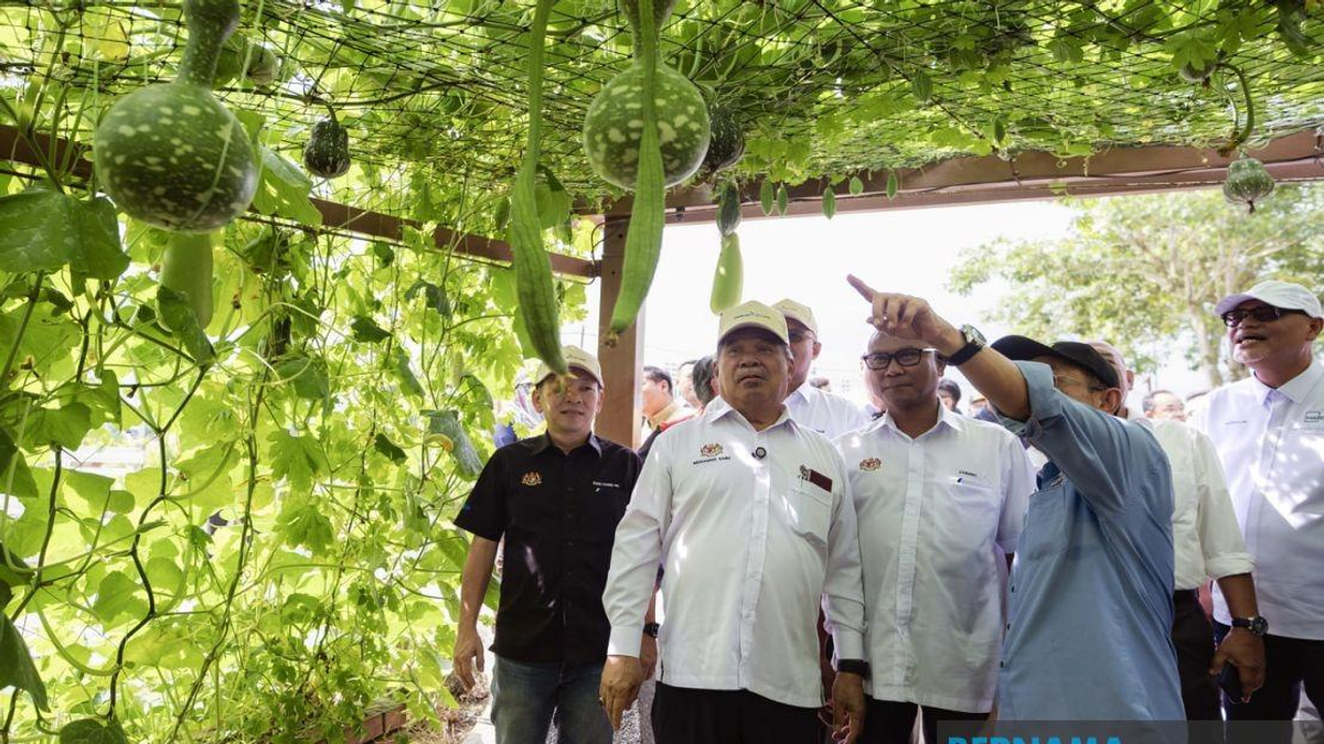 MAHA 2026 Nearing Completion as Agricultural Showcase Prepares to Open