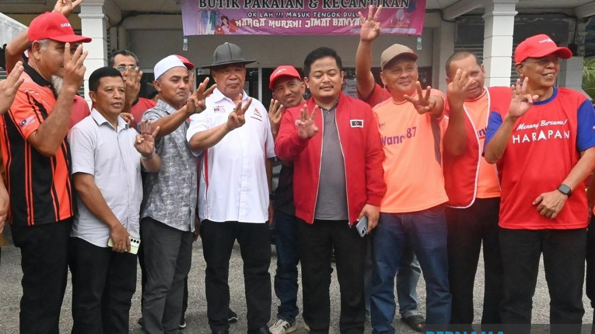 Johor Voters Must Back PH to Deliver on Manifesto Promises, Says Mohamad Sabu