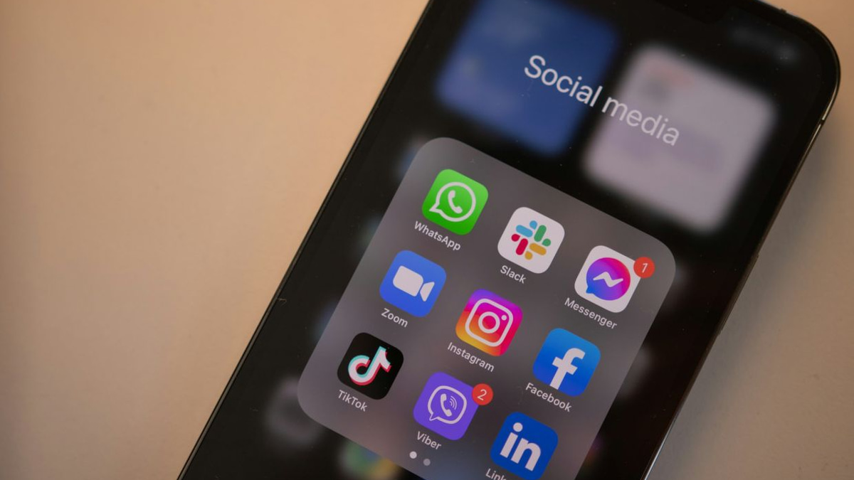 France's Constitutional Court Strikes Down Under-15 Social Media Ban as Unconstitutional
