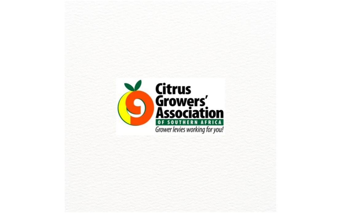 South Africa and India Unlock Citrus Trade After Years of Negotiation