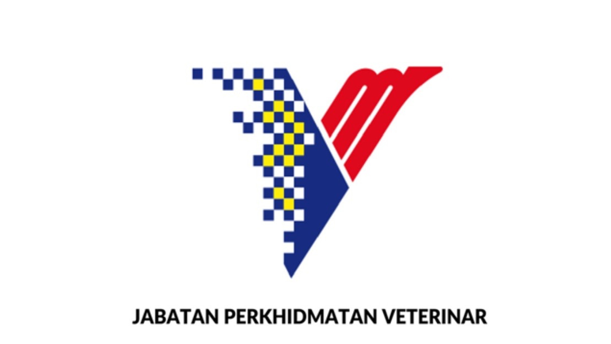 DVS Denies Involvement in Fraudulent Government Orders and Fake Supplies