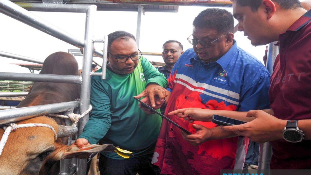 Melaka Deploys QR Tag System to Track Livestock and Improve Public Safety
