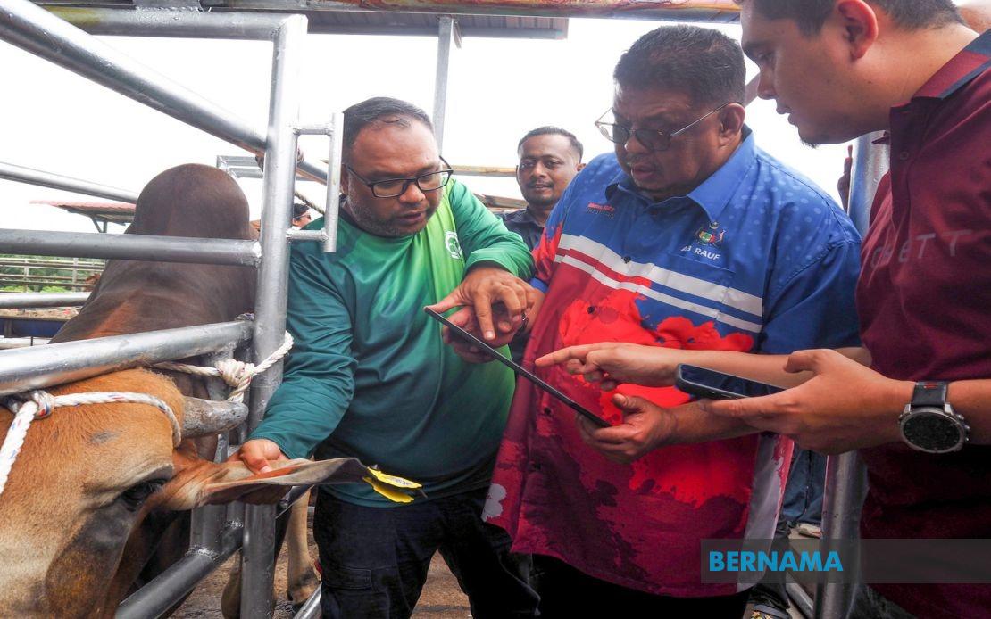 Melaka Deploys QR Tag System to Track Livestock and Improve Public Safety